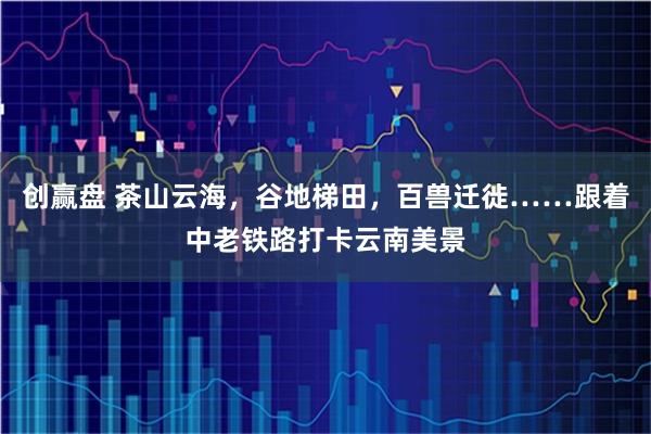 创赢盘 茶山云海，谷地梯田，百兽迁徙……跟着中老铁路打卡云南美景