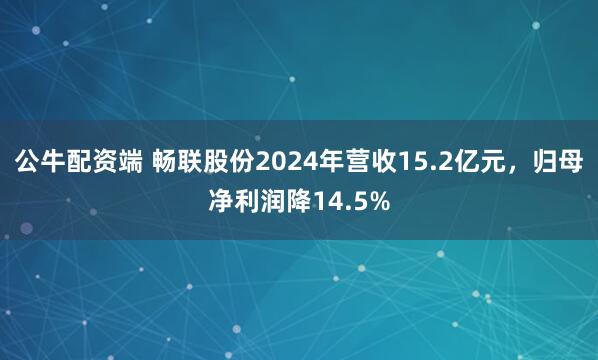 公牛配资端 畅联股份2024年营收15.2亿元，归母净利润降14.5%