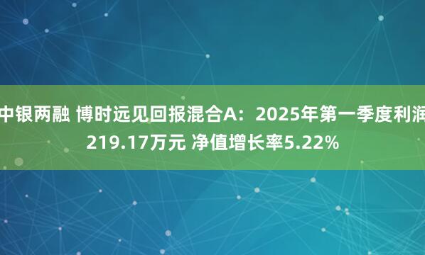 中银两融 博时远见回报混合A：2025年第一季度利润219.17万元 净值增长率5.22%