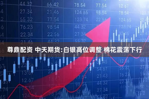尊鼎配资 中天期货:白银高位调整 棉花震荡下行