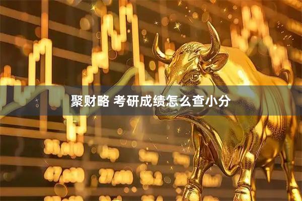 聚财略 考研成绩怎么查小分