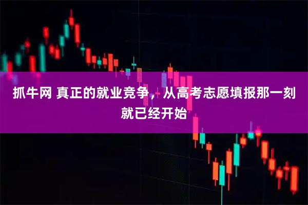 抓牛网 真正的就业竞争，从高考志愿填报那一刻就已经开始